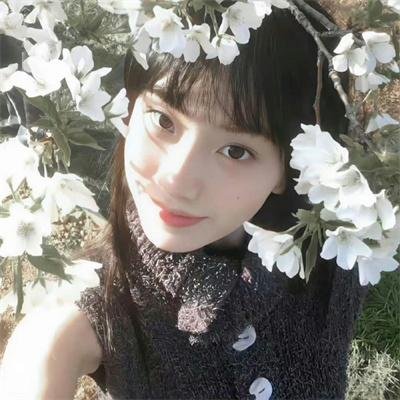 凹凸学园第二季